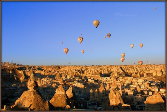 812795_603494162999653_1385522546_o